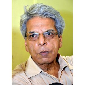 নৃসিংহপ্রসাদ ভাদুড়ী